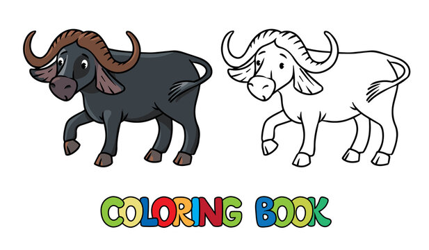 Funny wild buffalo coloring book. Alphabet Y