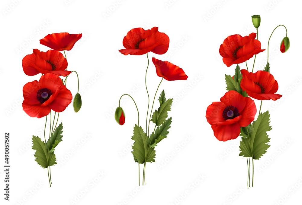 Wall mural Red Poppies Flowers Bouquet Realistic Set