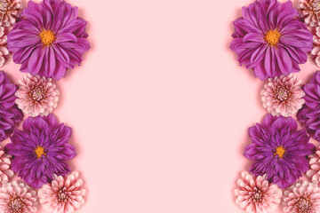 Dahlia flowers texture on a pink pastel background with copyspace. Nature floral concept.