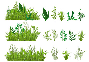 Green Grass Realistic Set