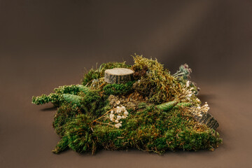 Natural podium from moss for cosmetic products.