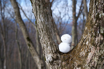 木の幹に乗せられた雪だるま
