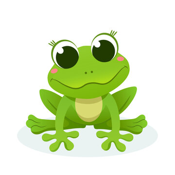 Beautiful frog on isolated background.Vector illustration.