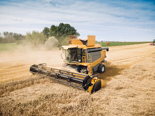 Agriculture. Yellow harvester, combain machine, is harvesting a ripe wheat in the field