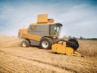 Obraz premium Agriculture. Yellow harvester, combain machine, is harvesting a ripe wheat in the field