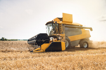 Agriculture. Yellow harvester, combain machine, is harvesting a ripe wheat in the field