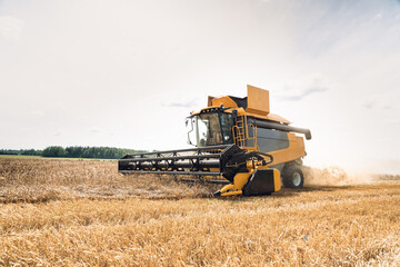 Agriculture. Yellow harvester, combain machine, is harvesting a ripe wheat in the field