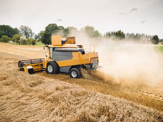 Fototapeta premium Agriculture. Yellow harvester, combain machine, is harvesting a ripe wheat in the field