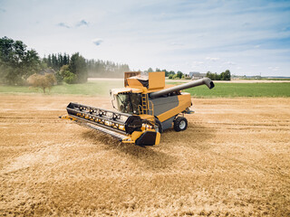 Agriculture. Yellow harvester, combain machine, is harvesting a ripe wheat in the field