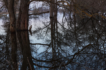 Photo of a river that overflowed its banks when the snow melted. Early spring. Trunks and branches of bare trees. Sunset. Landscape in the off-season in Ukraine. Reflection in water.