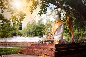 Buddha at a temple in Thailand it places under the big bodhi tree. and that is the message that language ''Prasripotiyangpratanschai''.