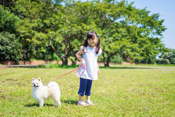 犬を散歩する小さな女の子