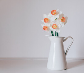 Beautiful bouquet of fresh white and orange daffodil flowers in full bloom in vase against white background. Copy space for text. Spring blossoms. Still life with bunch of narcissuses.