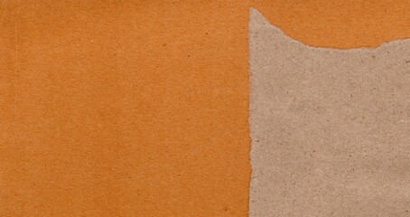 Kraft torn and creased Paper Texture for Background
