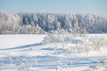 not frozen pond in winter