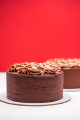 Homemade chocolate cake topped with whipped ganache
