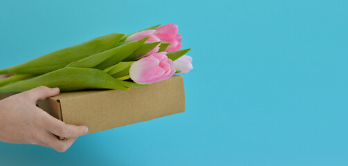 Spring flowers. Hands holding pink tulips on a box. Congratulation. The concept of spring gifts and holidays
