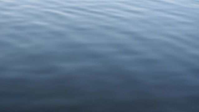 Gentle ripples of the water surface