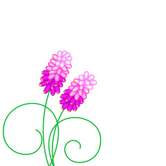Pink flowers isolated on white Vector illustration