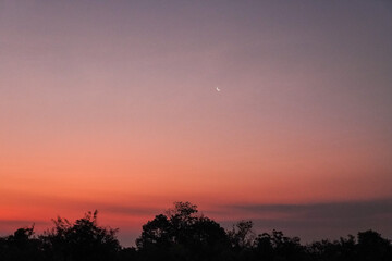 orange-pink sky at dawn, colorful sky, dawn sky background, copy space