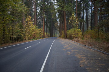 Fototapeta na wymiar カリフォルニア州　ヨセミテ国立公園　秋の道　早朝