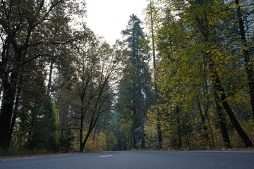 カリフォルニア州　ヨセミテ　道路　秋