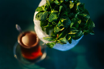 Herbal tea with fresh mint. Bunch of fresh mint