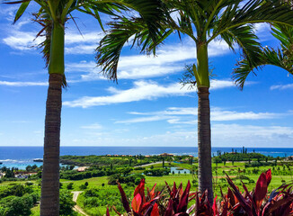 沖縄、宮古島シギラリゾートのヤシの木と青い海