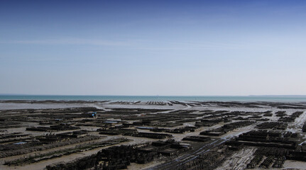 oyster parks in cancale, france