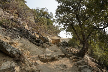 ヨセミテ国立公園　アッパーヨセミテフォールズトレイル　道のり