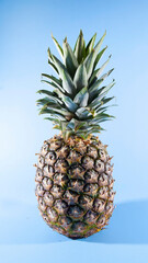 Pineapple on a blue background. close-up view