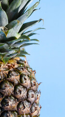 Pineapple on a blue background. close-up view