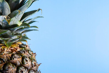 Pineapple on a blue background. close-up view
