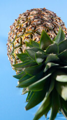 Pineapple on a blue background. close-up view