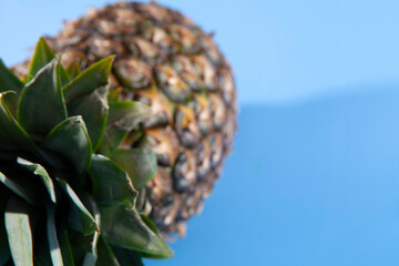 Pineapple on a blue background. close-up view