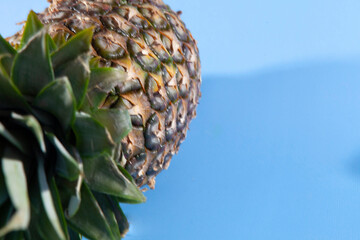 Pineapple on a blue background. close-up view