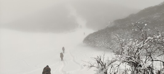 fog in the mountains