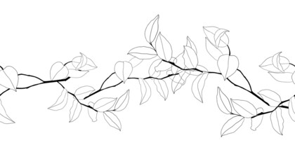 Vector branches border. Hand drawn floral elements. Vintage botanical illustrations.Lineart border.