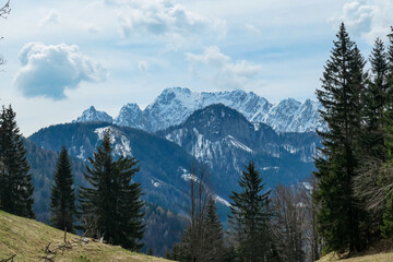 Alpine meadow with scenic view of snow capped mountain peaks of Karawanks on the way to Sinacher Gupf in Carinthia, Austria. Mount Wertatscha is visible in early spring. Rosental on a sunny day. Hike
