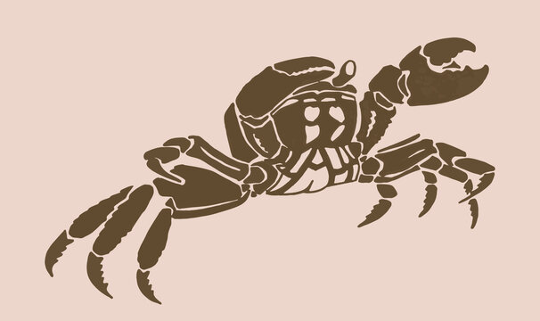 recommend clip art: Vector silhouette of crab , graphical sepia illustration, vintage seafood element