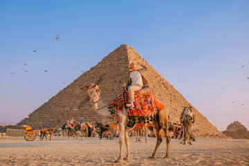 Happy Tourist man with hat riding on camel background pyramid of Egyptian Giza, sun light Cairo,...