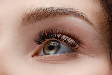 Obraz premium Closeup beautiful macro woman eye with extreme long fake eyelashes