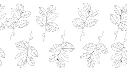 Fototapeta premium Leaves vector border. Hand drawn floral elements. Vintage botanical illustrations.Lineart border.