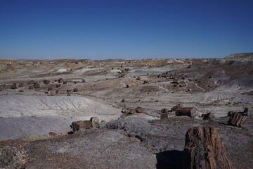 アリゾナ州　化石の森国立公園　化石と空