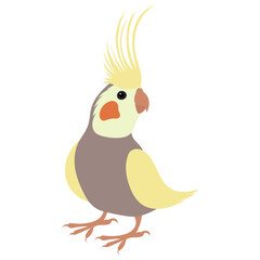 parrot, flat design on white background, isolated vector