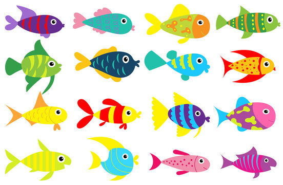 fish set, flat design collection, isolated vector