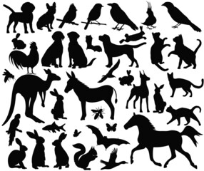 animals and birds set silhouette, collection isolated vector