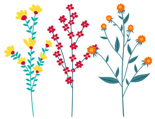 flower, flat design on white background, isolated