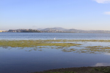 Lago , Lagoa das Palmeiras em CAbo Frio rJ Brasil 
