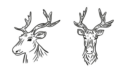 Fototapeta premium Deer portrait hand drawn vector.Muzzle of a deer in doodle style hand drawn.Symbol of hunters.